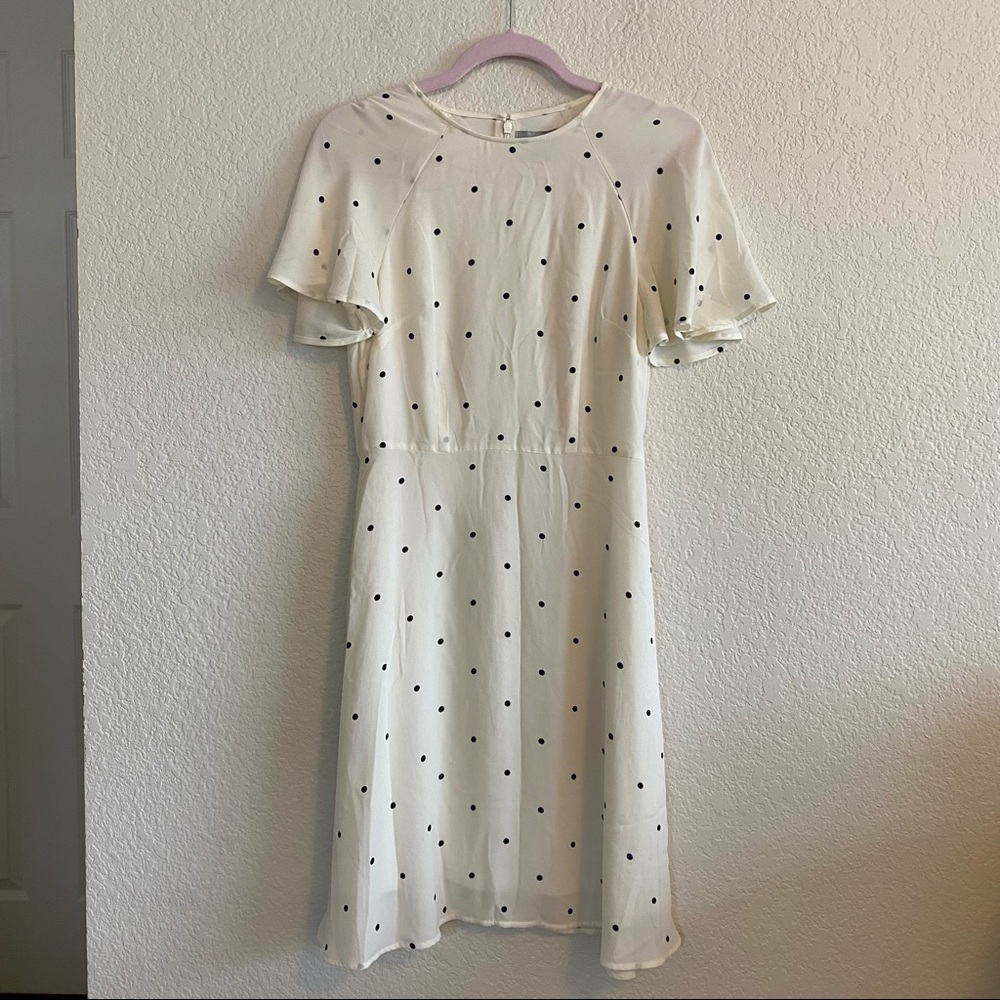 H&M Polka Dot Midi Dress